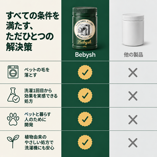 Bebysh