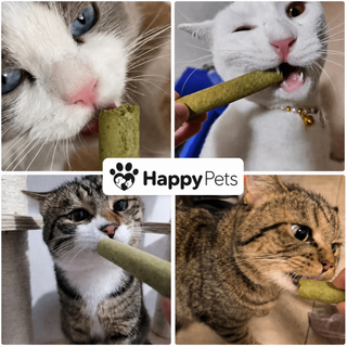 HappyPetsを楽しむ猫たち
