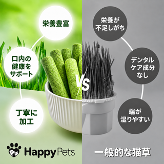 猫草デンタルスティック比較
